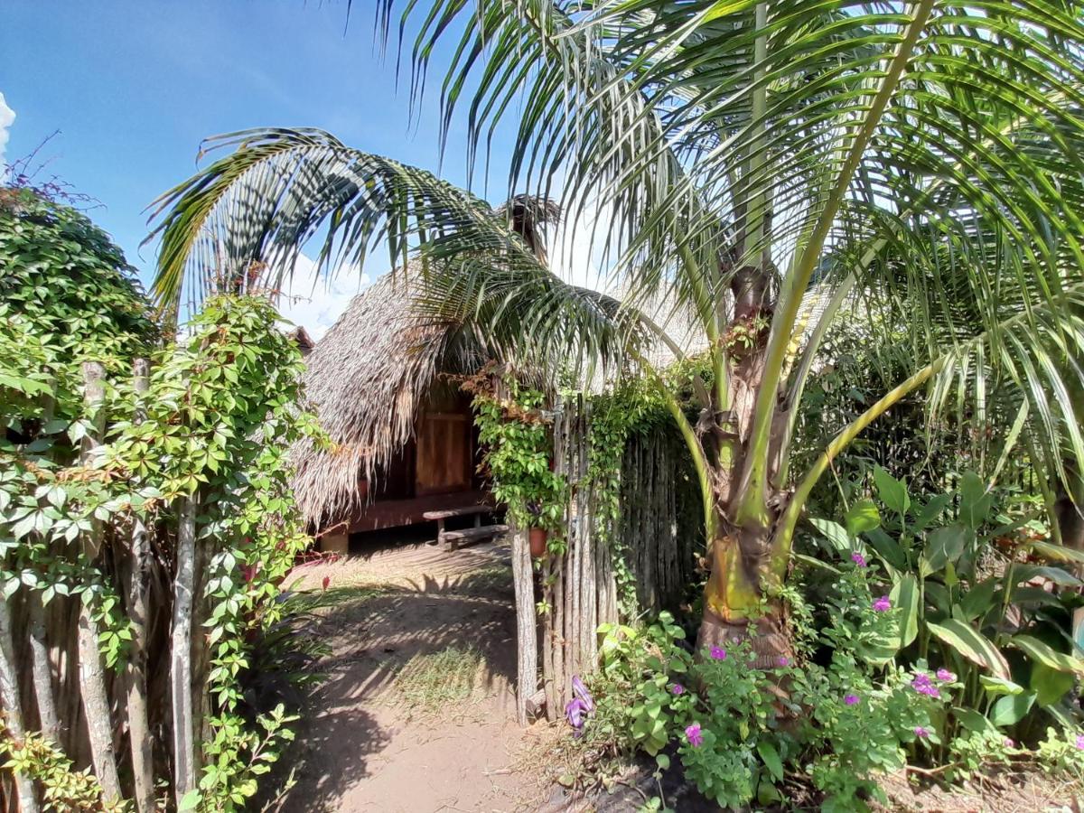 Calypso Cabanas El Paredón Buena Vista Eksteriør bilde