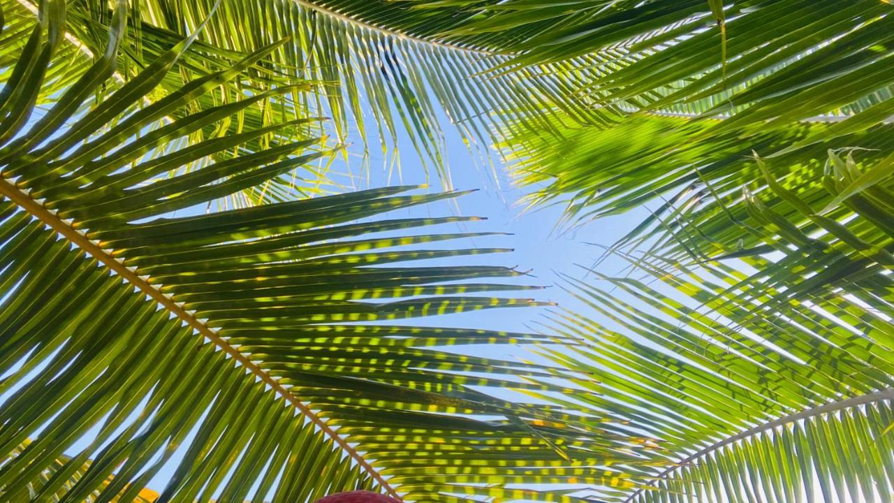 Calypso Cabanas El Paredón Buena Vista Eksteriør bilde