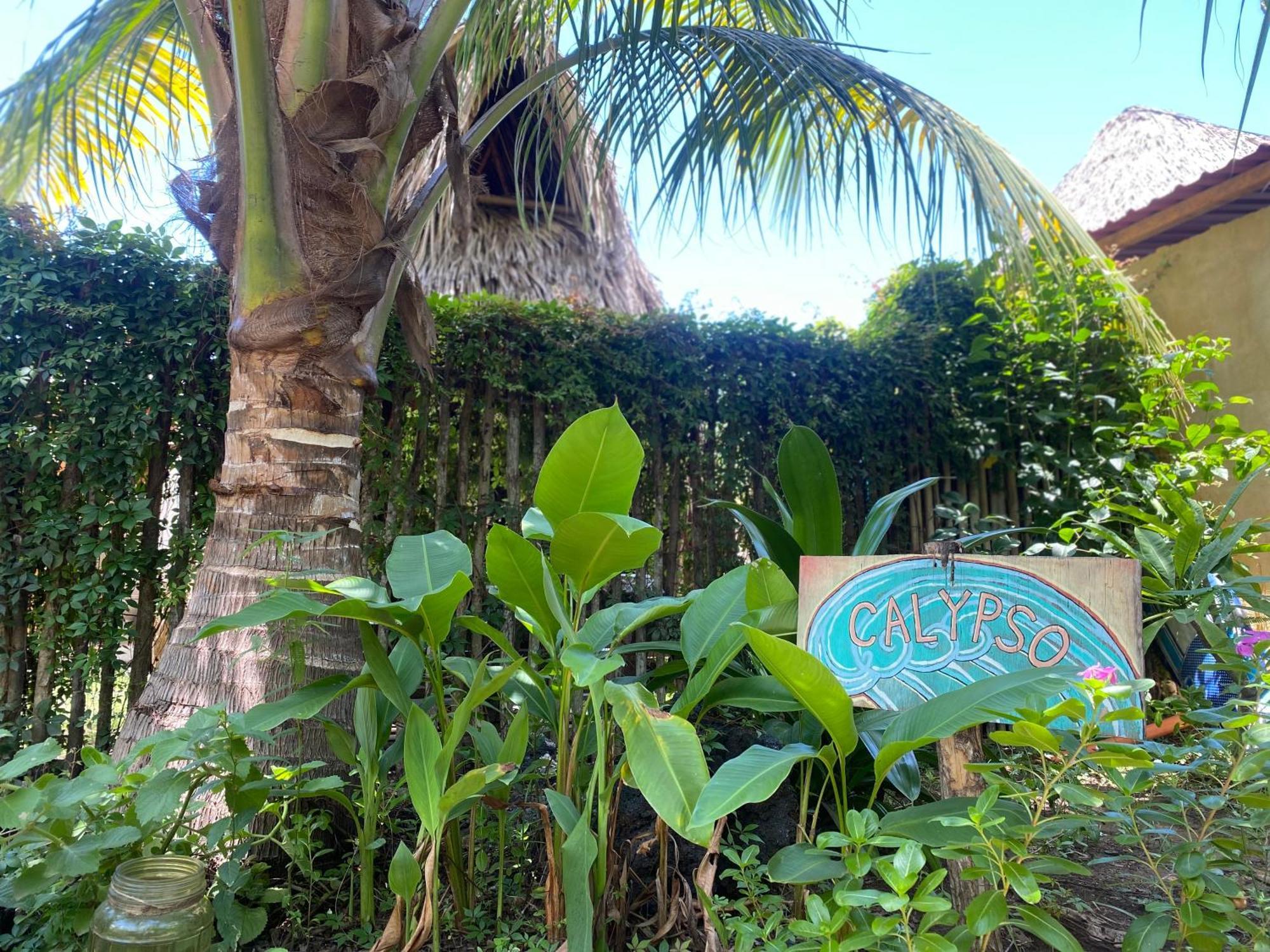 Calypso Cabanas El Paredón Buena Vista Eksteriør bilde