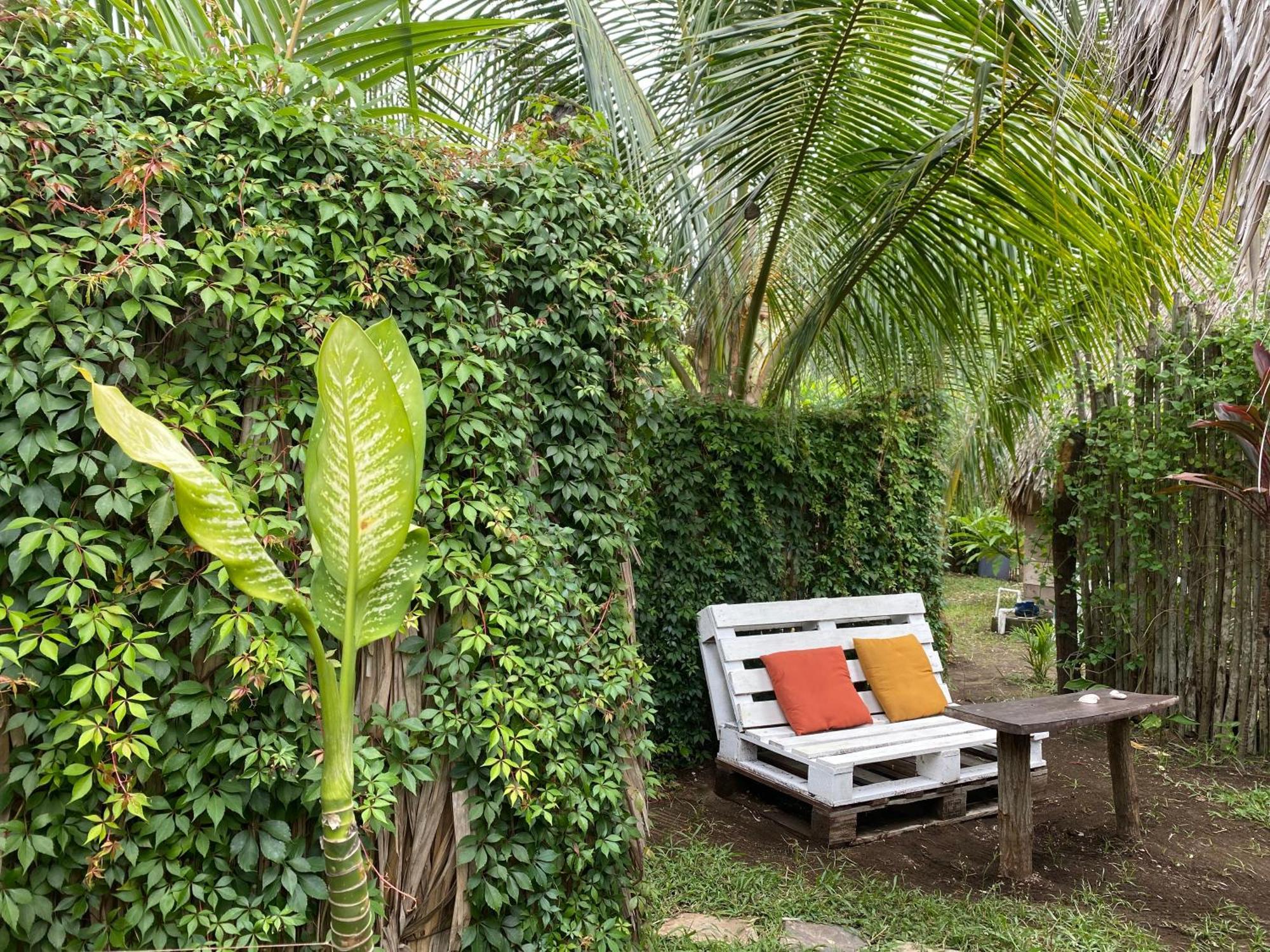 Calypso Cabanas El Paredón Buena Vista Eksteriør bilde